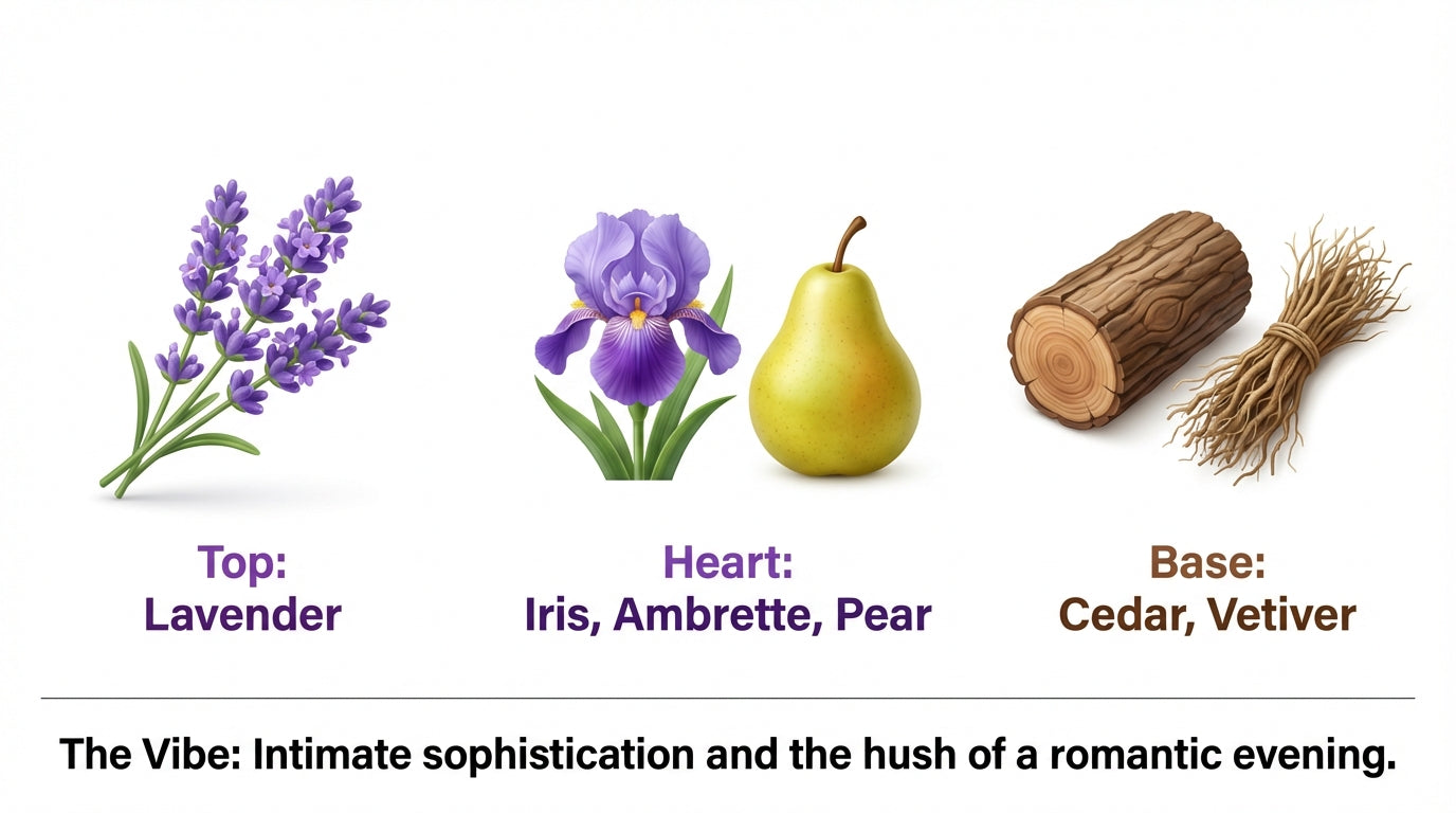 Night Elegance ‒ Eau de Parfum - 50ML